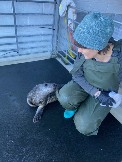 Lizzi with seal pup